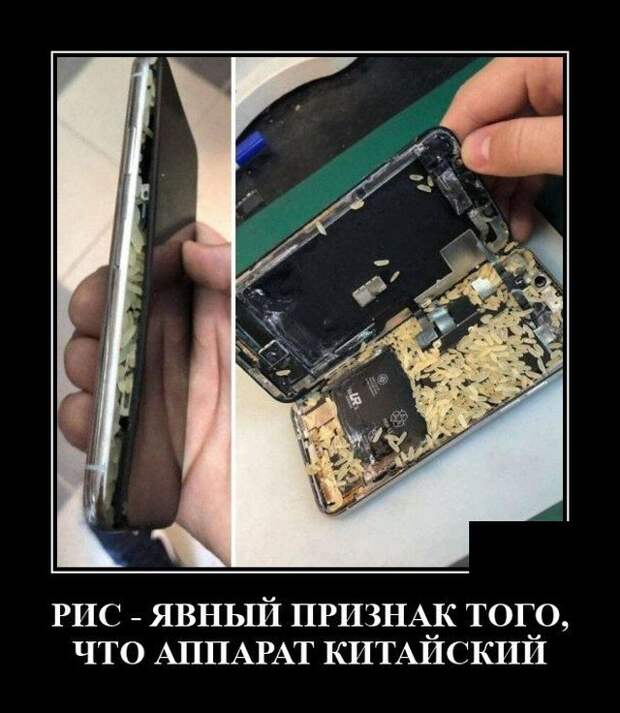 Демотиватор про рис