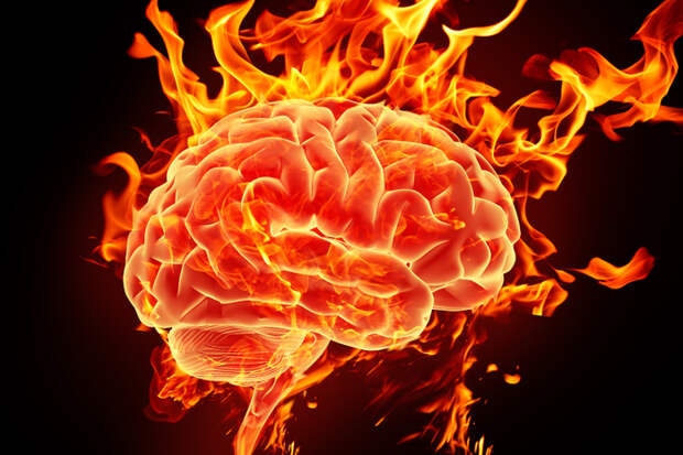 brain_on_fire (700x466, 327Kb)