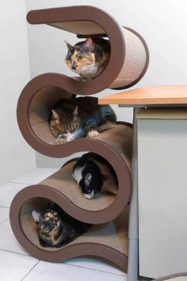 Стеллаж для котов