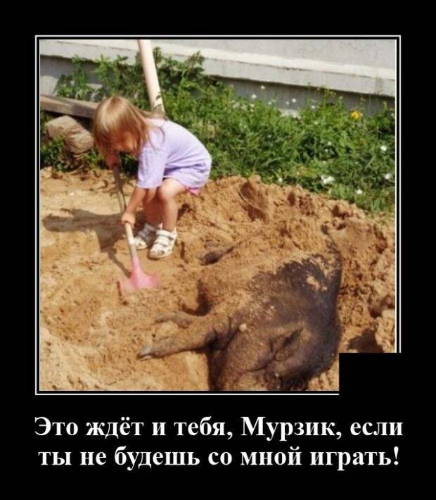 Демотиватор про мурзика