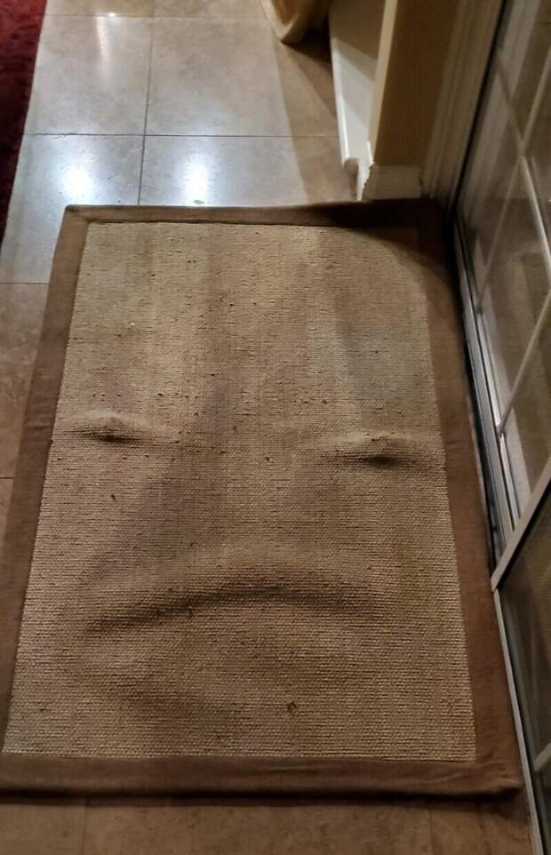 Я постирала коврик, кажется он этим недоволен