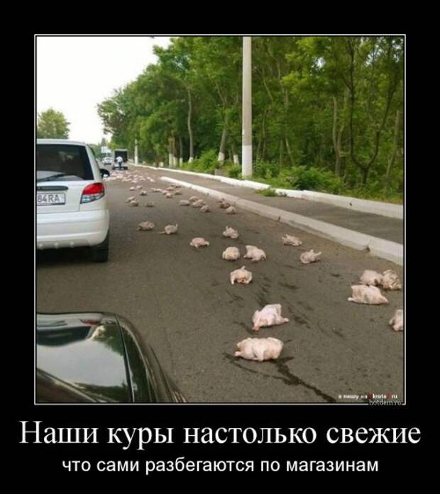 Новая порция демотиваторов (16 шт)