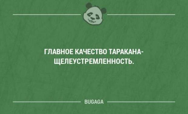 Смешные фразы и мысли в картинках с надписями. Часть 75 (18 шт)