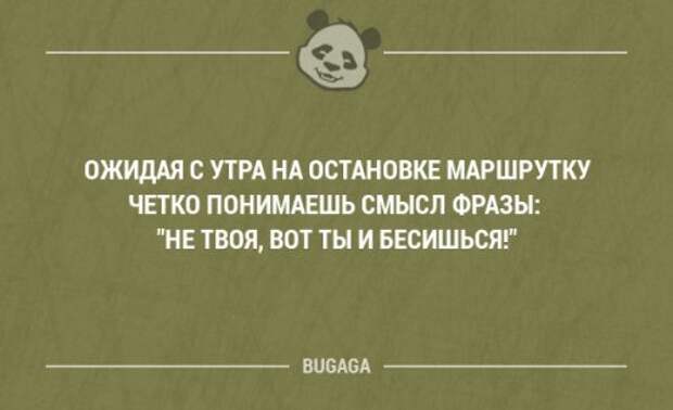Смешные мысли и короткие анекдоты. Часть 69 (17 шт)