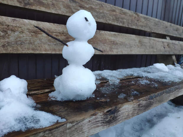 Специалисты назвали сроки пробуждения клещей в Поморье