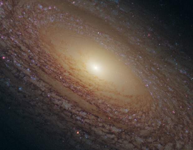 спиральная галактика