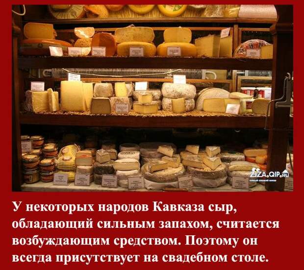 Самые интересные факты о сыре (10 фактов)
