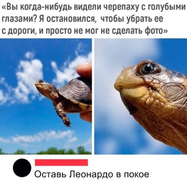 Подборка картинок. Дневной выпуск (30 фото)