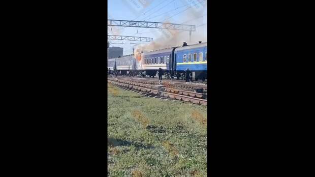 Video: VivaCut_video_1744989764800_HD.mp4