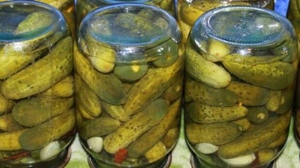 Не нефть, не газ и не зерно: в России появился новый экспортный продукт, который заменит сырье