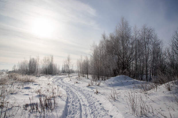 Редкое сближение планет у Солнца состоится 22 января