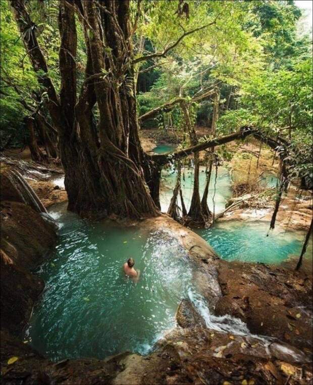 Странные люди, странные вещи