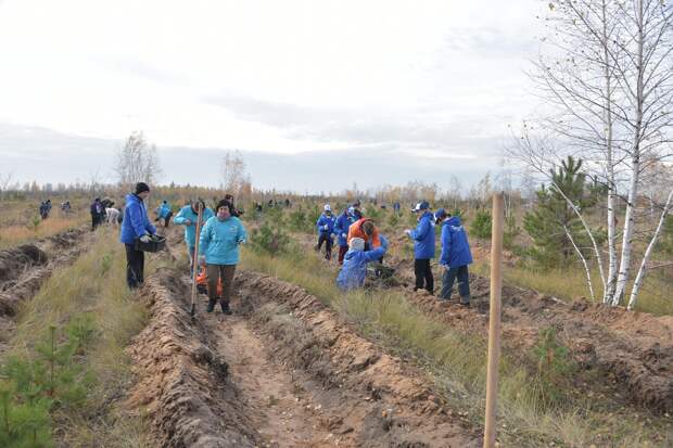 В Воронежской области проходит акция «Сохраним лес»