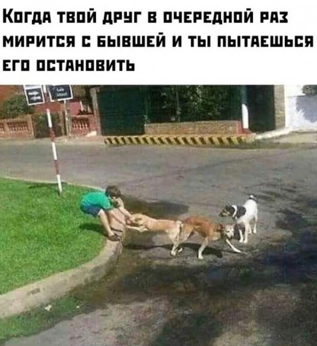Картинки и мемы для настроения