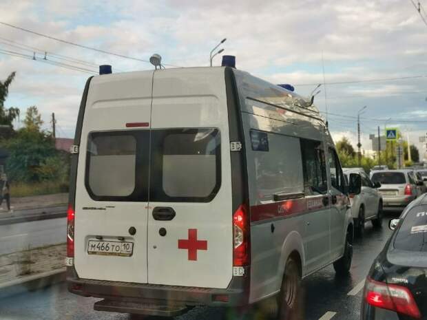 Новости петрозаводска и карелии сегодня коронавирус. Новости петрозаводска и карелии сегодня коронавирус. Новости петрозаводска и карелии сегодня коронавирус. Новости петрозаводска и карелии сегодня коронавирус. Новости петрозаводска.
