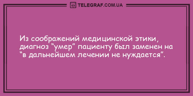 Шутки-прибаутки: веселые анекдоты для хорошего настроения