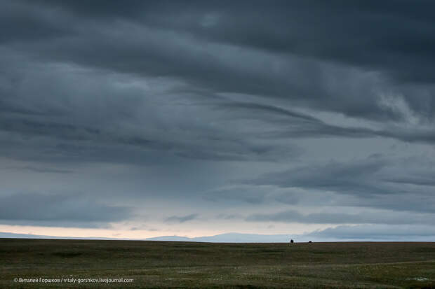 0307_20130809_Taymir