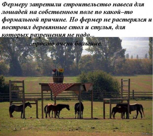 Подборка разных приколов