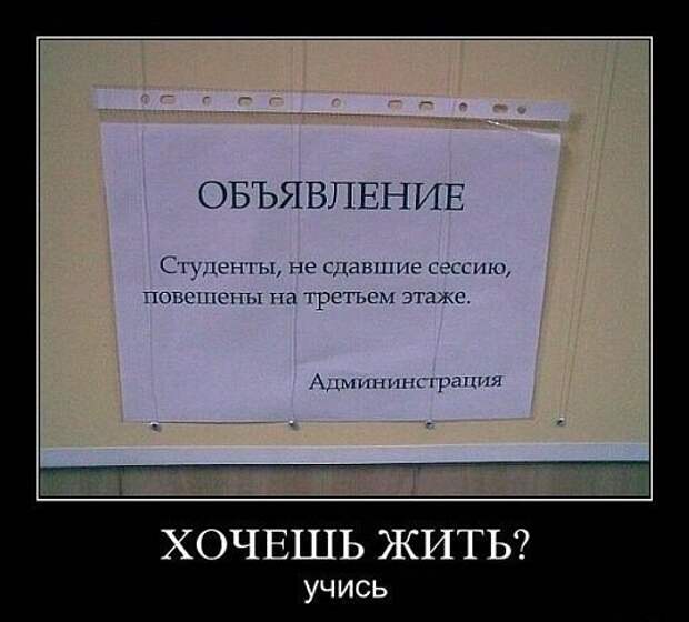 Приколы про студентов: ах, эти золотые годы!