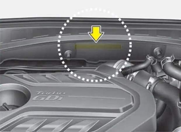 Под капотом на перегородке между моторным отсеком и пассажирским салоном.