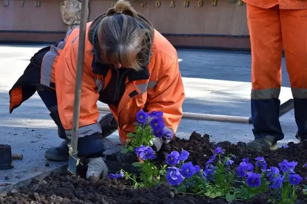Яркие цветочные композиции появляются в Симферополе