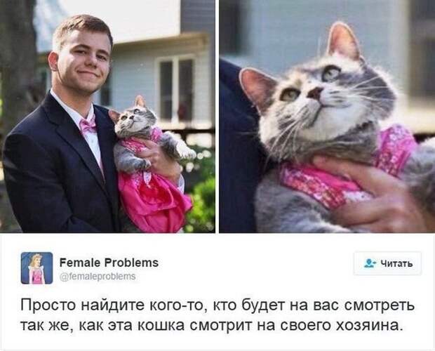 Фотоподборка выходная (123 фото) Фотоподборка выходная (123 фото)