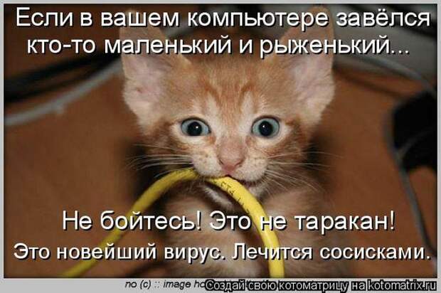 Мысли вслух :)