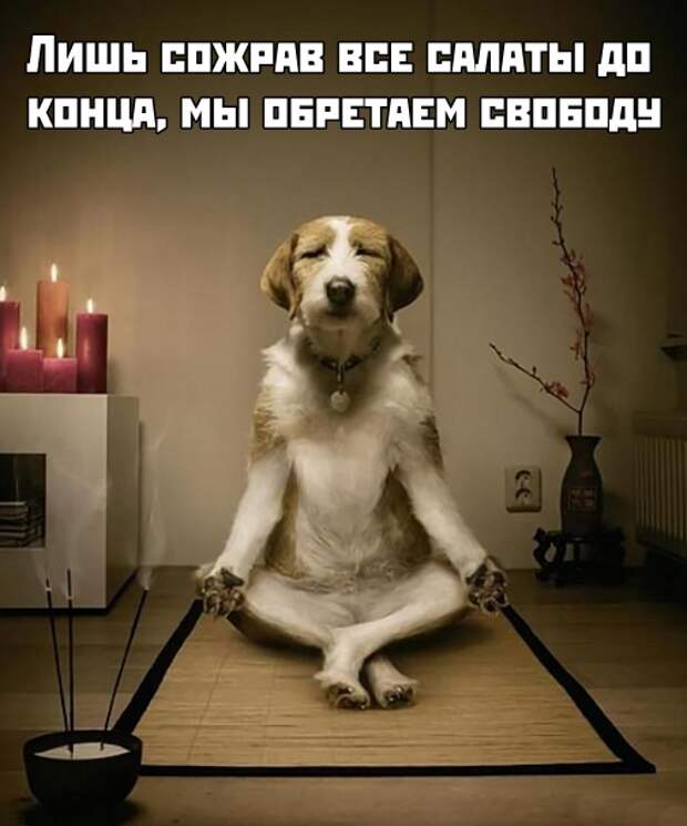 Подборка картинок (31 фото)