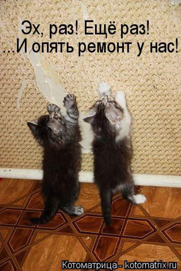 Котоматрица: ...И опять ремонт у нас! Эх, раз! Ещё раз!