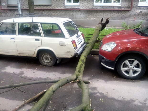 Автовсячина Автовсячина, авто, автомобиль, машина, прикол