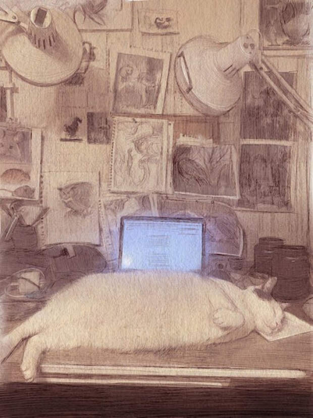 Художник Энн Маршалл (annmarshallart)
