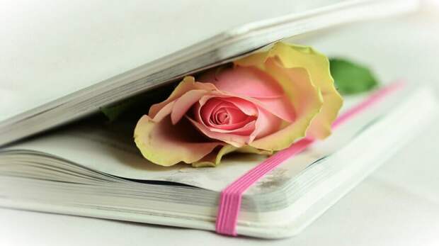Фото: pixabay.com