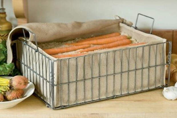 Длительное хранение морковки. | Фото: NewsLinQ.