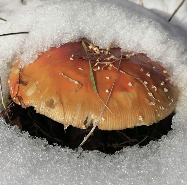 Классные снимки, которые заставляют взглянуть на мир под другим углом