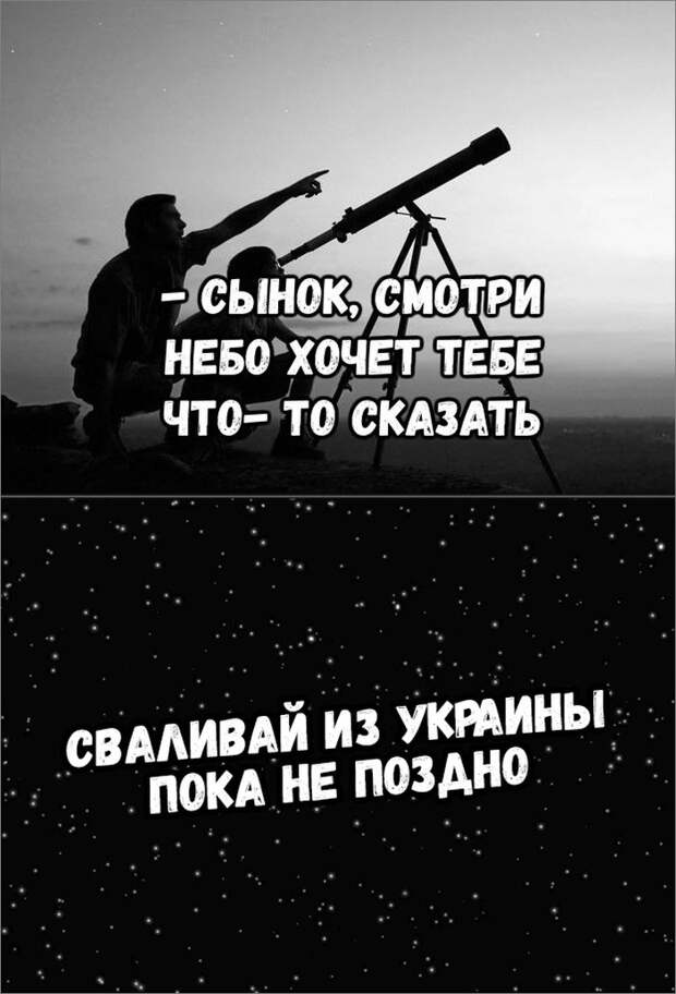 8dcf4bc15c2c795d3.jpg