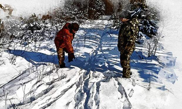 В Орловской области считают диких животных