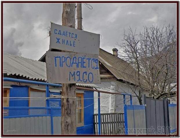 Демотиваторы для настроения
