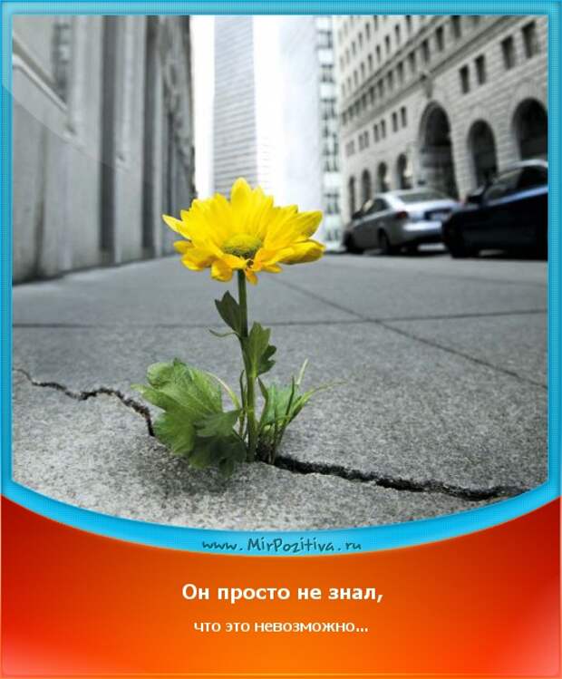 image018 (520x629, 215Kb)
