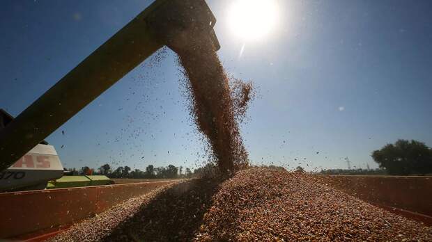 Запад запрещает кормить голодающий мир тоталитарным зерном из России