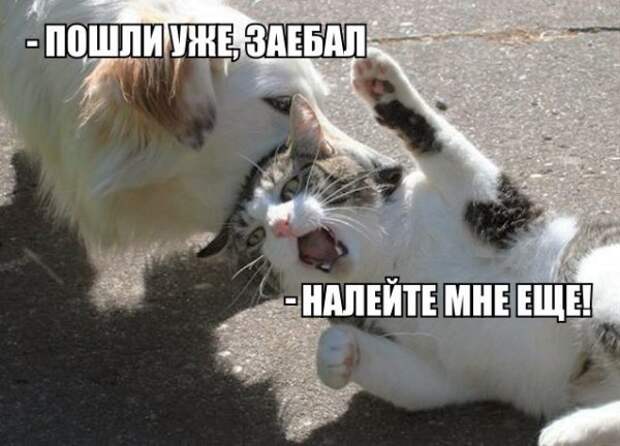 ПОЗИТИВНЫЙ ПОСТ+ 192