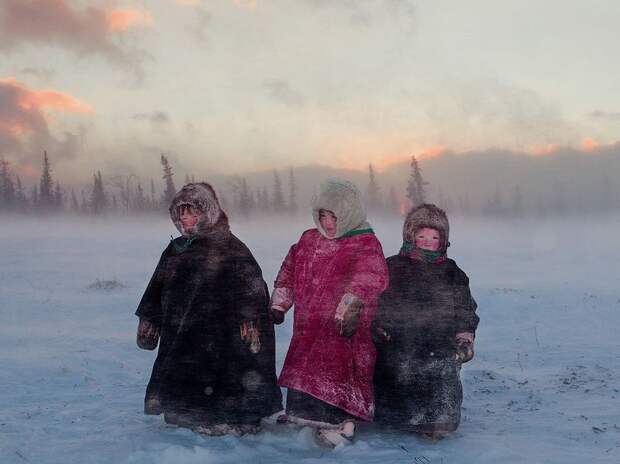 Лучшие фотографии от National Geographic за 2012 год national geographic, дикая природа, животные, лучшие фотографии, природа