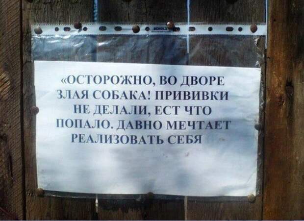Таблички от хозяев с прекрасным чувством юмора животные, таблички, чувство юмора