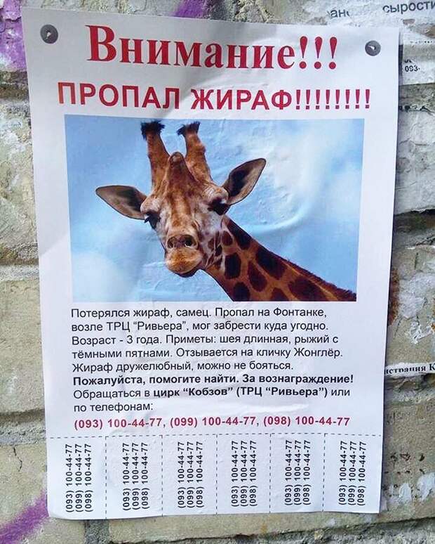 Странности, которые могли произойти везде, но случились почему-то в Одессе 