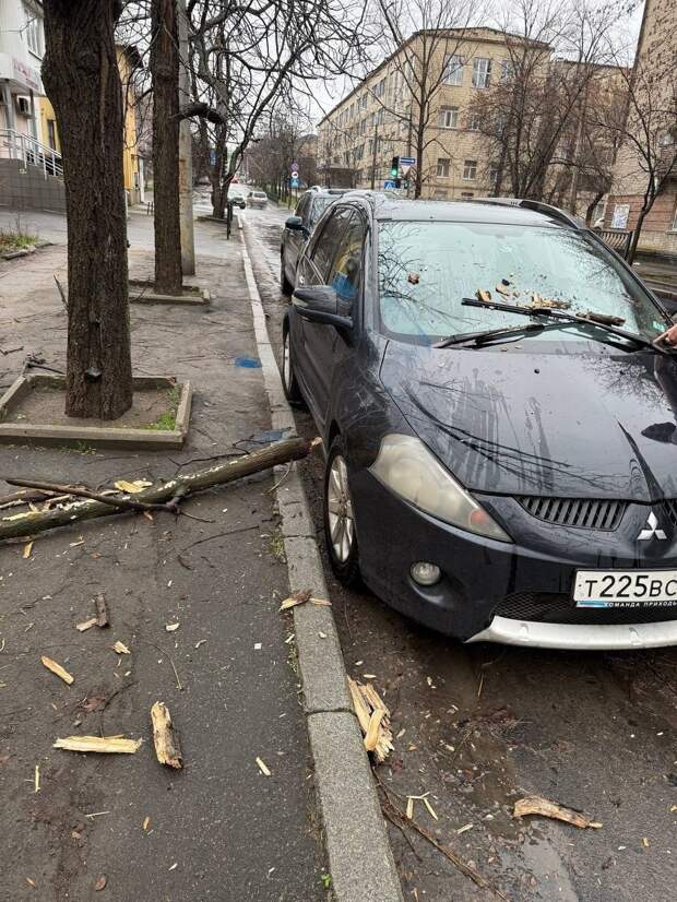 Упала ветка на машину на пр. Театральном, 12