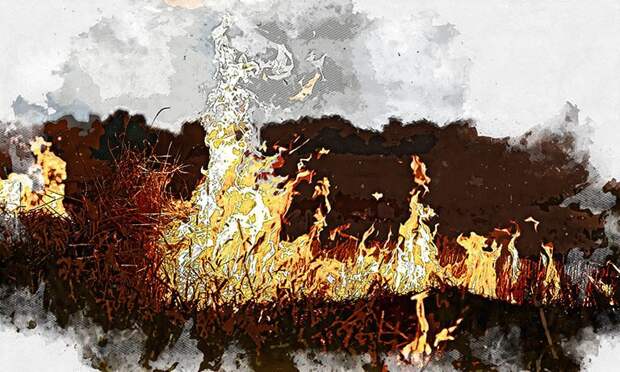 В Орловской области за сутки выявили рекордное количество термоточек