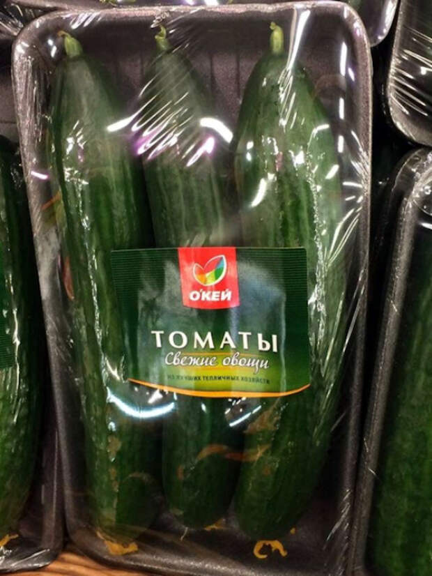 Загадочные огурцы. Загадочные огурцы.
