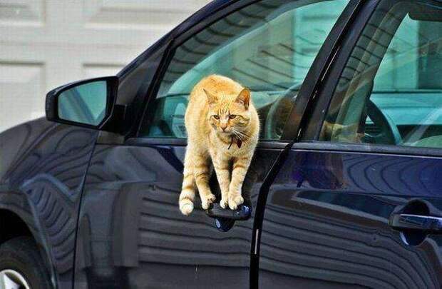 Больше, чем просто фотография