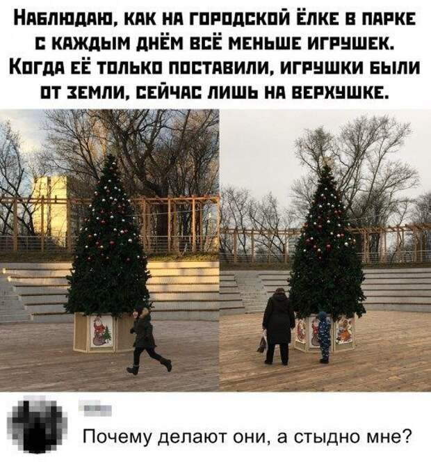 Весёлые картинки этого дня