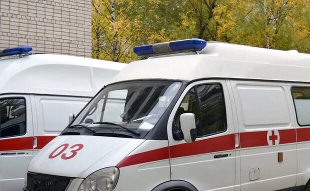 Онколог Лихачёва: список анализов и обследований для выявления рака