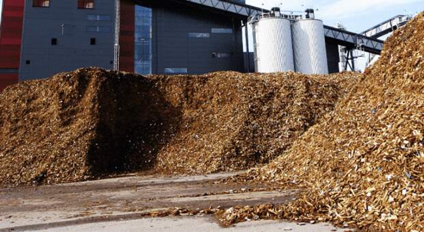 «Советская эра закончилась!» – в Киеве обещают много импортных ТЭЦ на биомассе